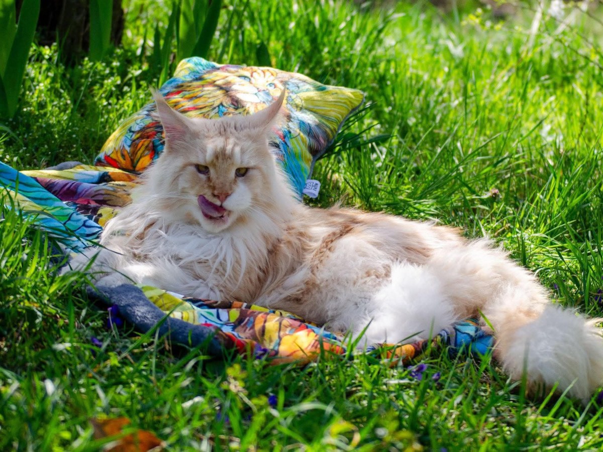 Nedělníček pana Maxmiliána č.&nbsp;2