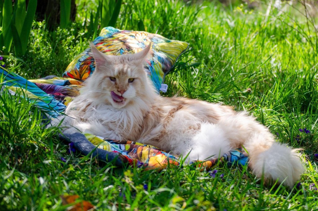 Nedělníček pana Maxmiliána č.&nbsp;2