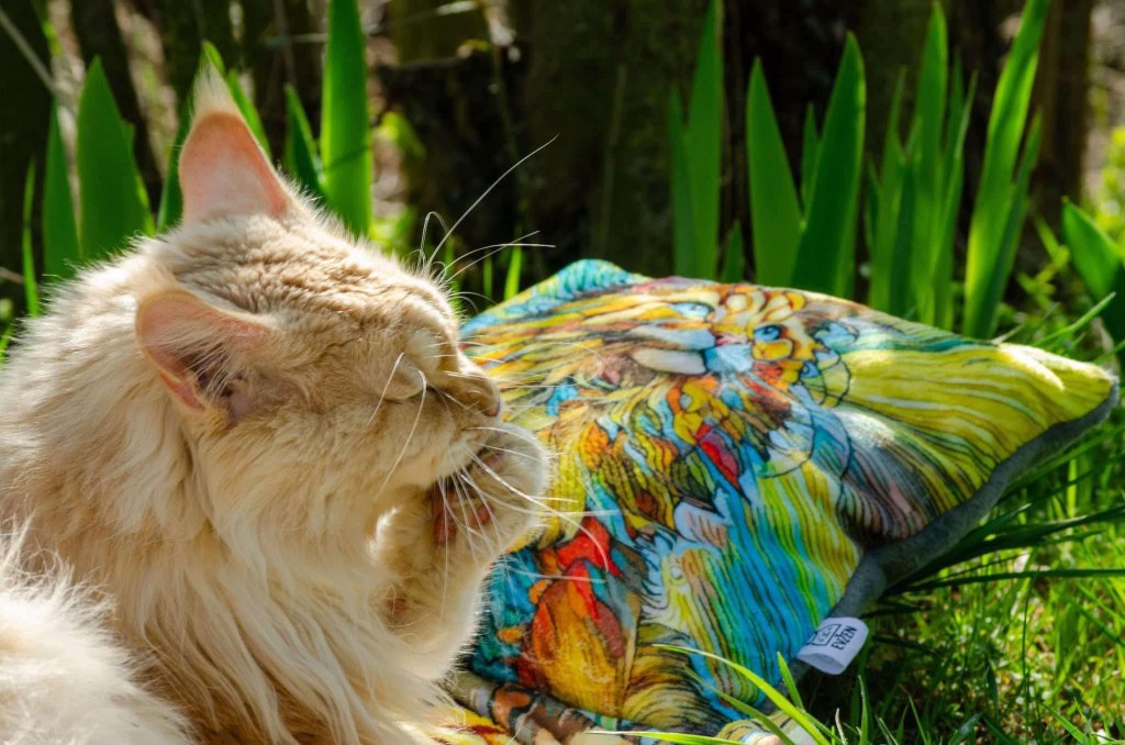 Nedělníček pana Maxmiliána&nbsp;(3)