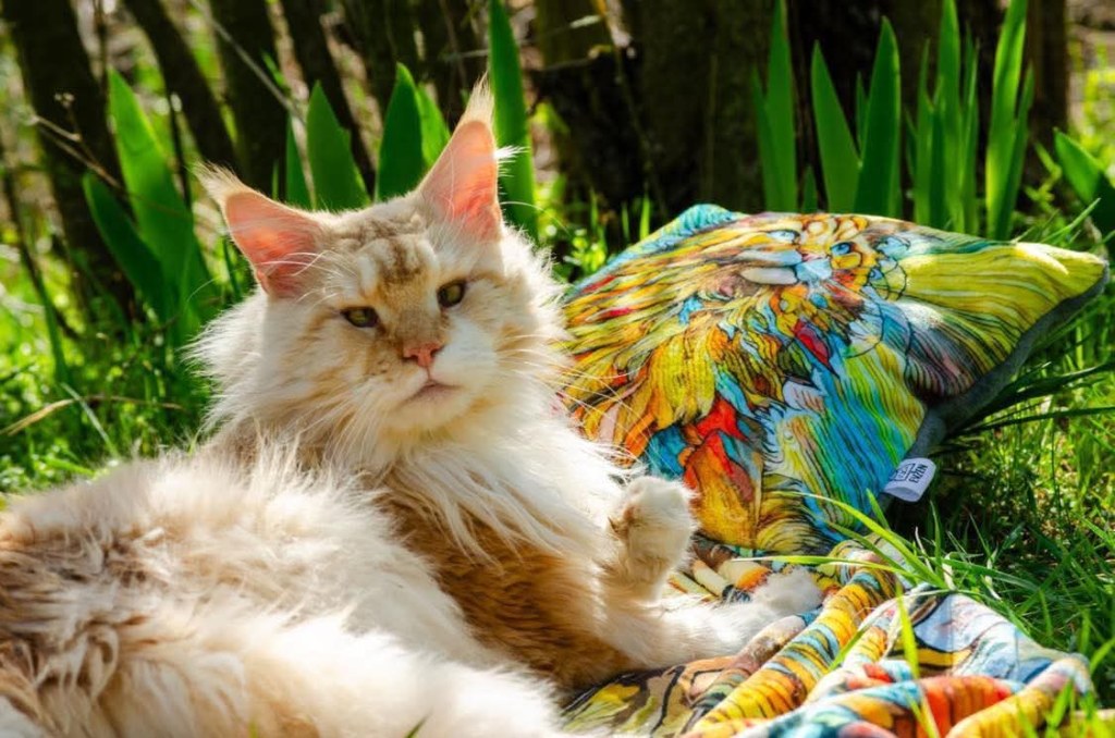 Nedělníček pana Maxmiliána&nbsp;(9)