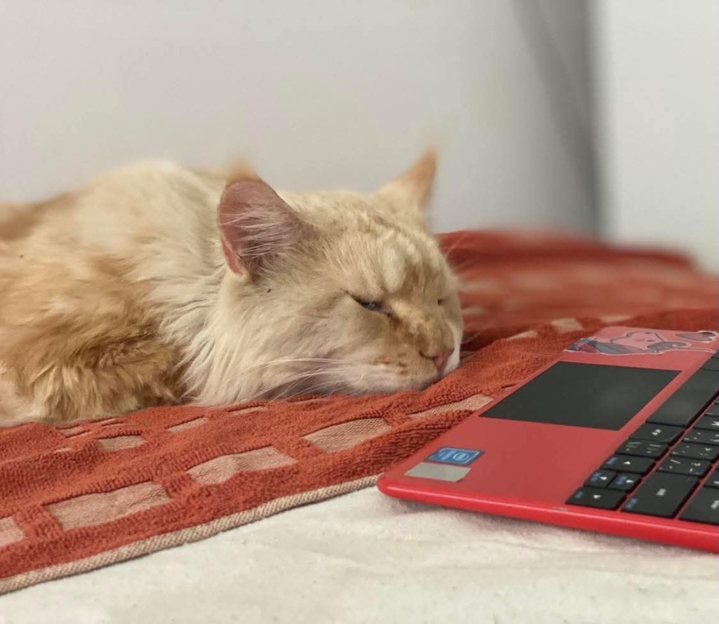 Nedělníček pana Maxmiliána&nbsp;(16)