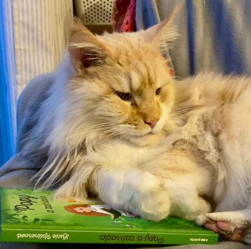 Nedělníček pana Maxmiliána&nbsp;(43)